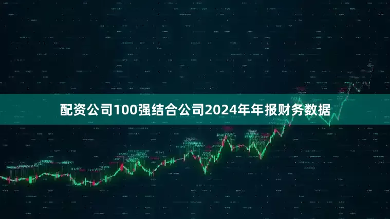 配资公司100强结合公司2024年年报财务数据