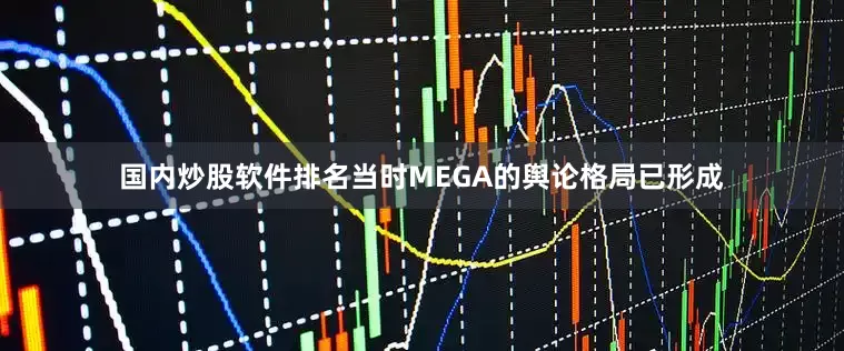 国内炒股软件排名当时MEGA的舆论格局已形成