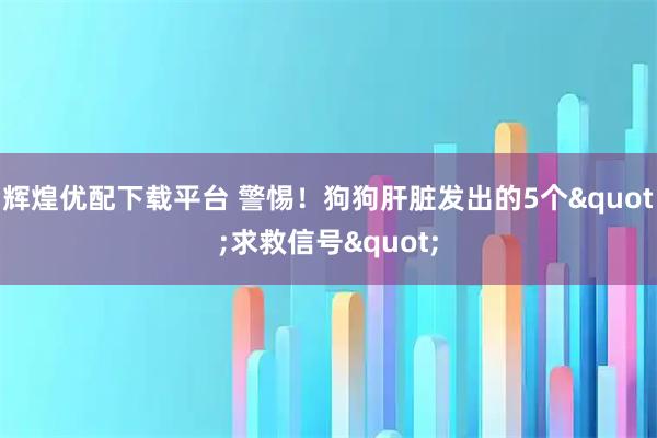 辉煌优配下载平台 警惕！狗狗肝脏发出的5个"求救信号"