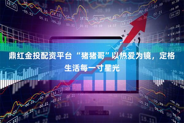 鼎红金投配资平台 “猪猪哥”以热爱为镜，定格生活每一寸星光
